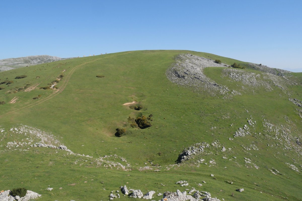 Desaomendi Atxispurutik