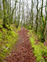 Kortazar-Irukurutzeta bidea Atxolin inguruan