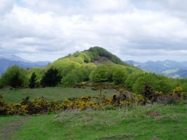 Nahasiko Goenatik ikusita