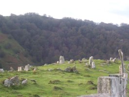 Erengako Mairubaratza