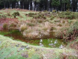 Putzua tontorretik gertu