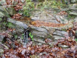 Mandaska iturria Kurutzebakarretik gertu