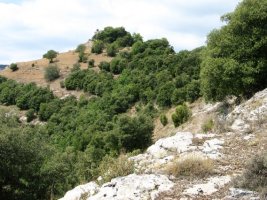 San Victor IEko bizkarretik