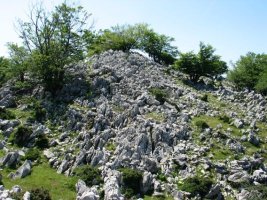 Tontorraren inguruak