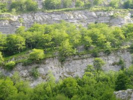 Los Campanarios-eko mailak