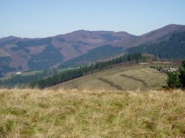 Itxumenditik ikusita