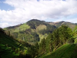 Iparrekialdetik ikusita