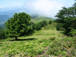 Tontorretik mendebaldera begira