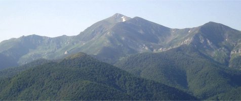 Fuente Détik ikusita