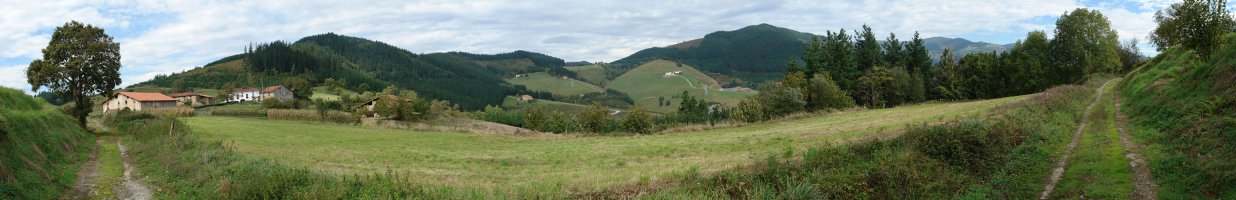 Basalgo aldeko panoramika