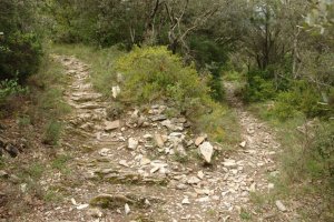 Salvatierra aldeko bidea