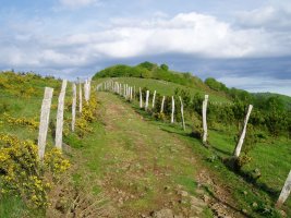 Iruiatik igotzen den bidetik ikusita