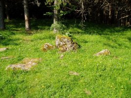 Trikuharria Selva de Ozan