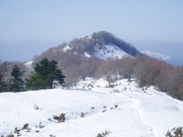 Nahasiko Goenatik ikusita