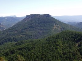 Arburua Alduko atakatik