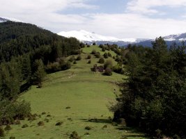 Mintxateko bidetik ikusitako paisaiak