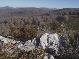 Urrizkaingo gailurra