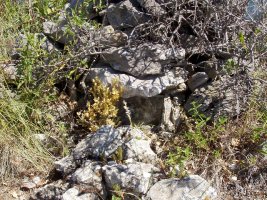 Baselizatik hurbil, jaiotza ttiki bat