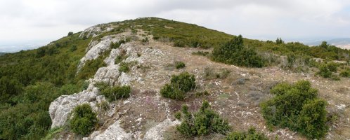 Orrontze Ekialdeko bizkarretik