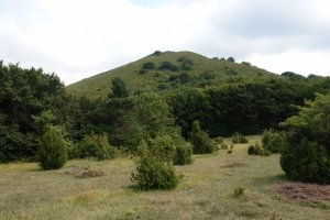 Orraunaundia Orrotzeko bidetik