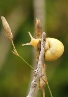 Marraskiloa, salto egiteko gertu