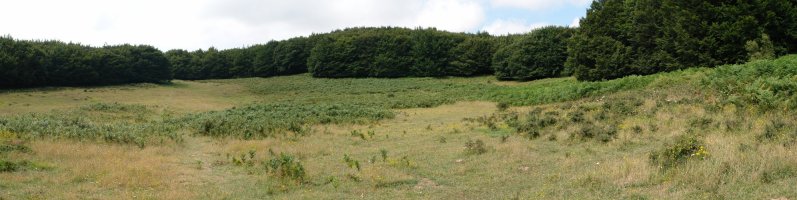 Pagadiak inguratutako larrea, Orrontze eta Orraunaundiaren artean