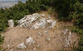 Bagadigorriko tontorra