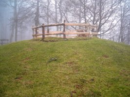 Bagargi  trikuharria