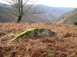 Urrixka  2 trikuharria