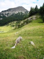 Fuente de los Clérigos trikuharria