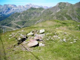 Las  Truchas trikuharria