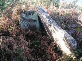 Lapitzeta 1 mendebalde trikuharria