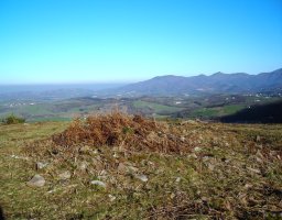 Lapitzeta 2 ekialde trikuharria