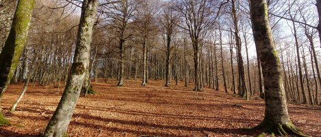 Gainaldea, iparraldeko gailurretik