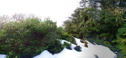 Iparraldeko gailurra