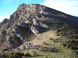 Altsaan  3  trikuharria