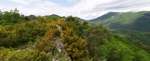 Santa Agedako gailurra