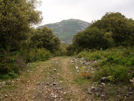 Etxauriko mendateko bidea