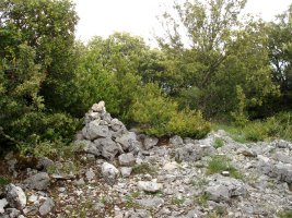 Oiakarizketako gailurra