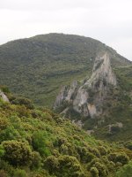 Oiakarizketa eta Peña Txikita