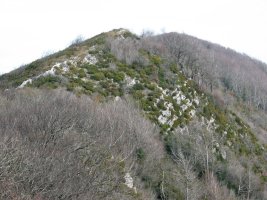 Carrascal eta Alaitz arteko pasarte bat