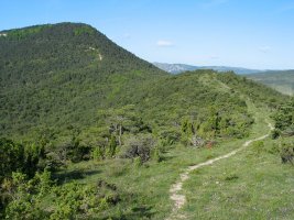 Iparraldeko gandorretik