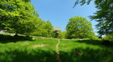 Latasako bide ederra