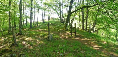 Ataka, Artolako gainetik hurbil