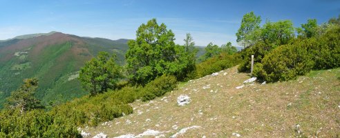 Seinaleak Ardibidegainaren inguruan