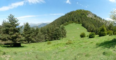 Armotoako hegoaldeko gailurra