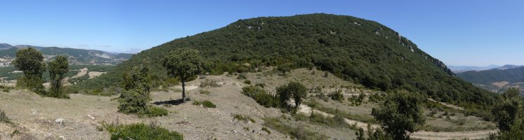 HMko lepotik ikusita