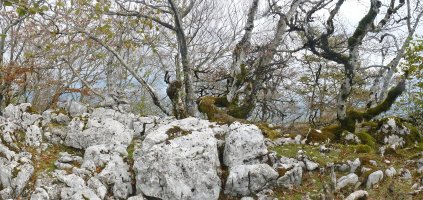 Alitzako Malkorreko gailurra (1062m)