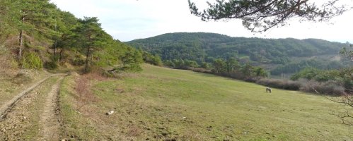 Bide ederra pinudietan barrena