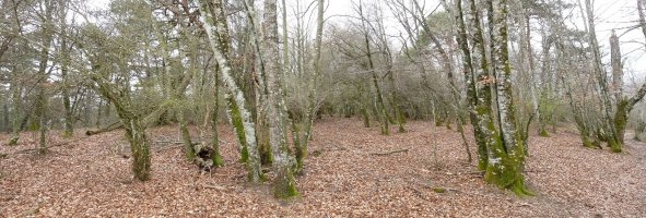 Basagaizko gailur itxia